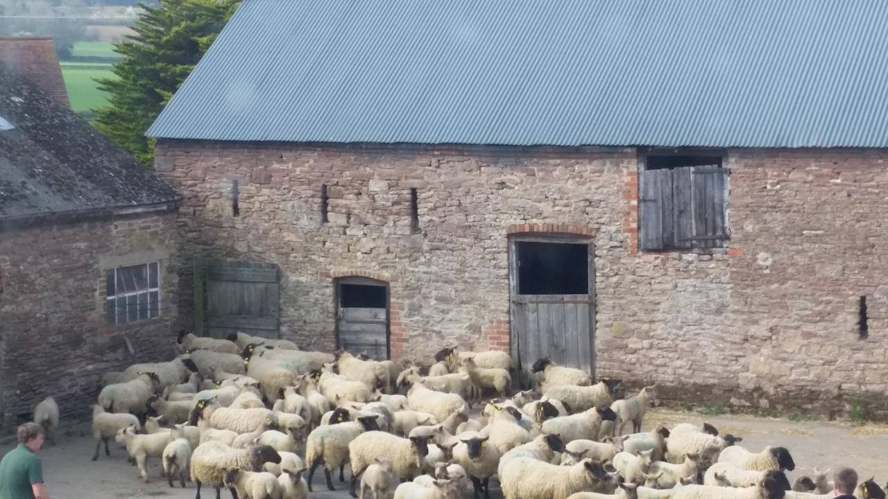 Upper Eyton * Alberbury